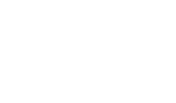 DS
